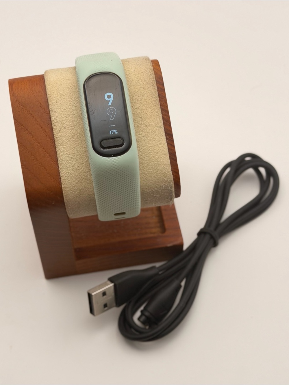 Garmin Vivosmart 5, Tested, Charger Included, Green, Rare color Latest Model